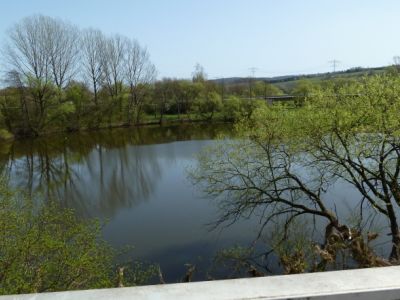 Teich Wittig im Fruehjahr 2.JPG