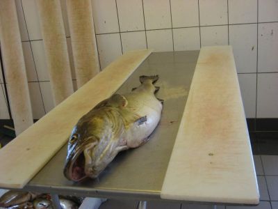 norge 2012 052.jpg