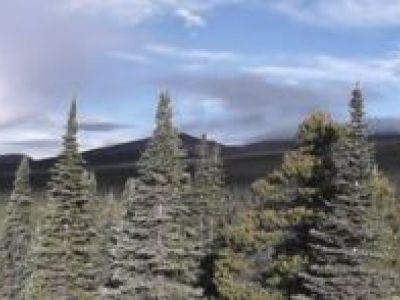 157-Kanada-Yukon.jpg