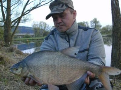 Brasse, gefangen im April 2011 von Marco Gieling im Teich Wittig.