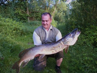 Hecht, 117 cm, 9kg, gefangen im Juni 2013 von Marco Gieling im Stadtteich 1.