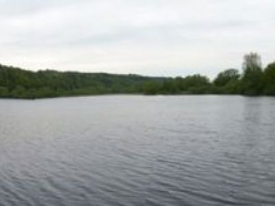 Stadtteich 1- 08.05.2010.jpg