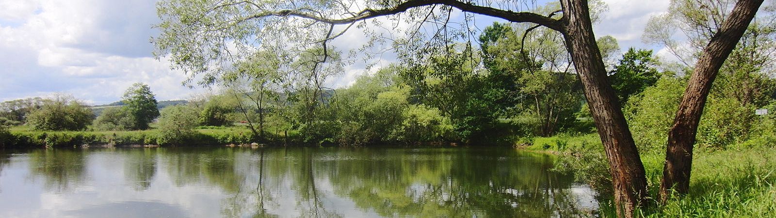 Teich