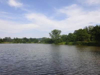 Stadtteich 3 - 03.06.2011.jpg