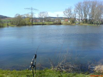 Teich Berkwiese bei Breitenbach im Fruehjahr(4).JPG