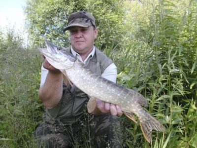 Hecht, 65 cm, gefangen im Juni 2012 von Marco Gieling im Stadtteich 3.