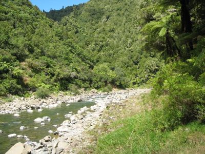 Am Waioeka River.jpg