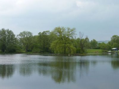 Fruehling am Stadtteich 1.jpg