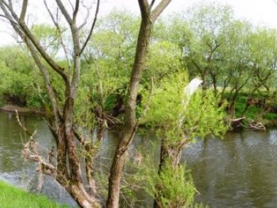 Fulda Panoramabild.JPG
