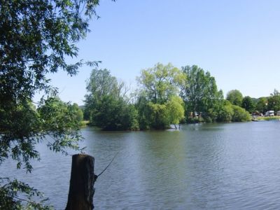 Insel im Stadtteich 1 - Juni 2011.jpg