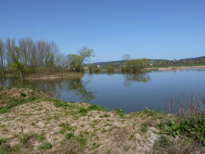 Stadtteich 2 im Fruehjahr.JPG