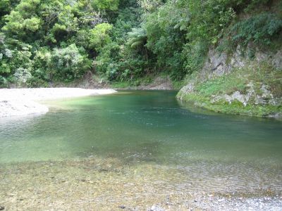 Waimana River.jpg
