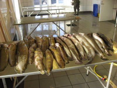 norge 2012 022.jpg