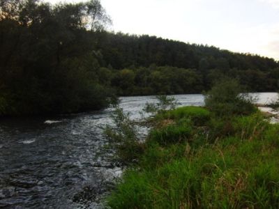 Einlauf zum Forbachsee-Naturschutzgebiet.jpg