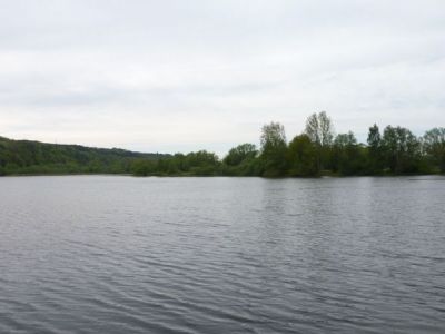 Stadtteich 1- im Mai 2010.jpg