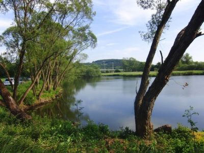 Teich Wittig - 03.06.2011.jpg