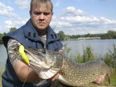 Hecht, 95 cm, 5,15kg, gefangen im Juni 2011 von Marco Gieling im Stadtteich 1.
