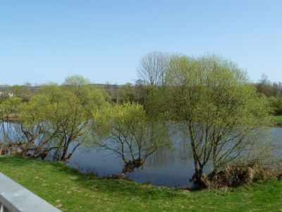 Teich Wittig im Fruehjahr.JPG